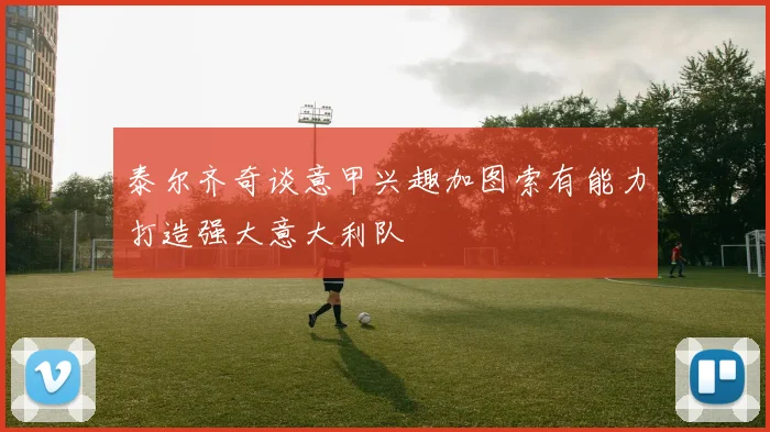 泰尔齐奇谈意甲兴趣加图索有能力打造强大意大利队